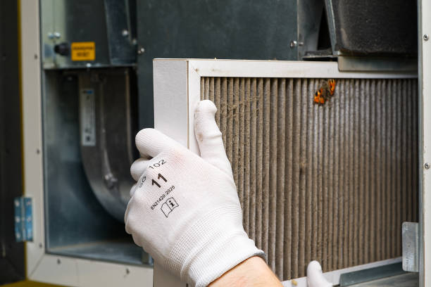 Best HVAC System Cleaning  in Lexington, IL