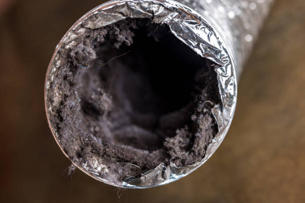 Best Air Duct Cleaning Near Me  in Lexington, IL